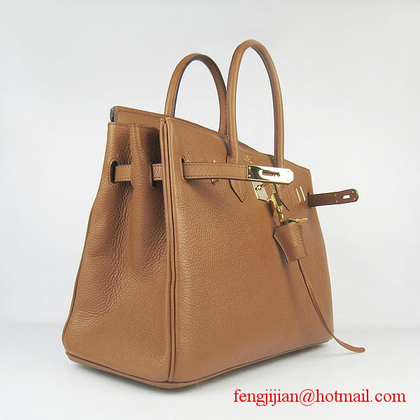 Hermes 35cm Embossed Veins Leather Bag Light Coffee 6089 Gold Hardware